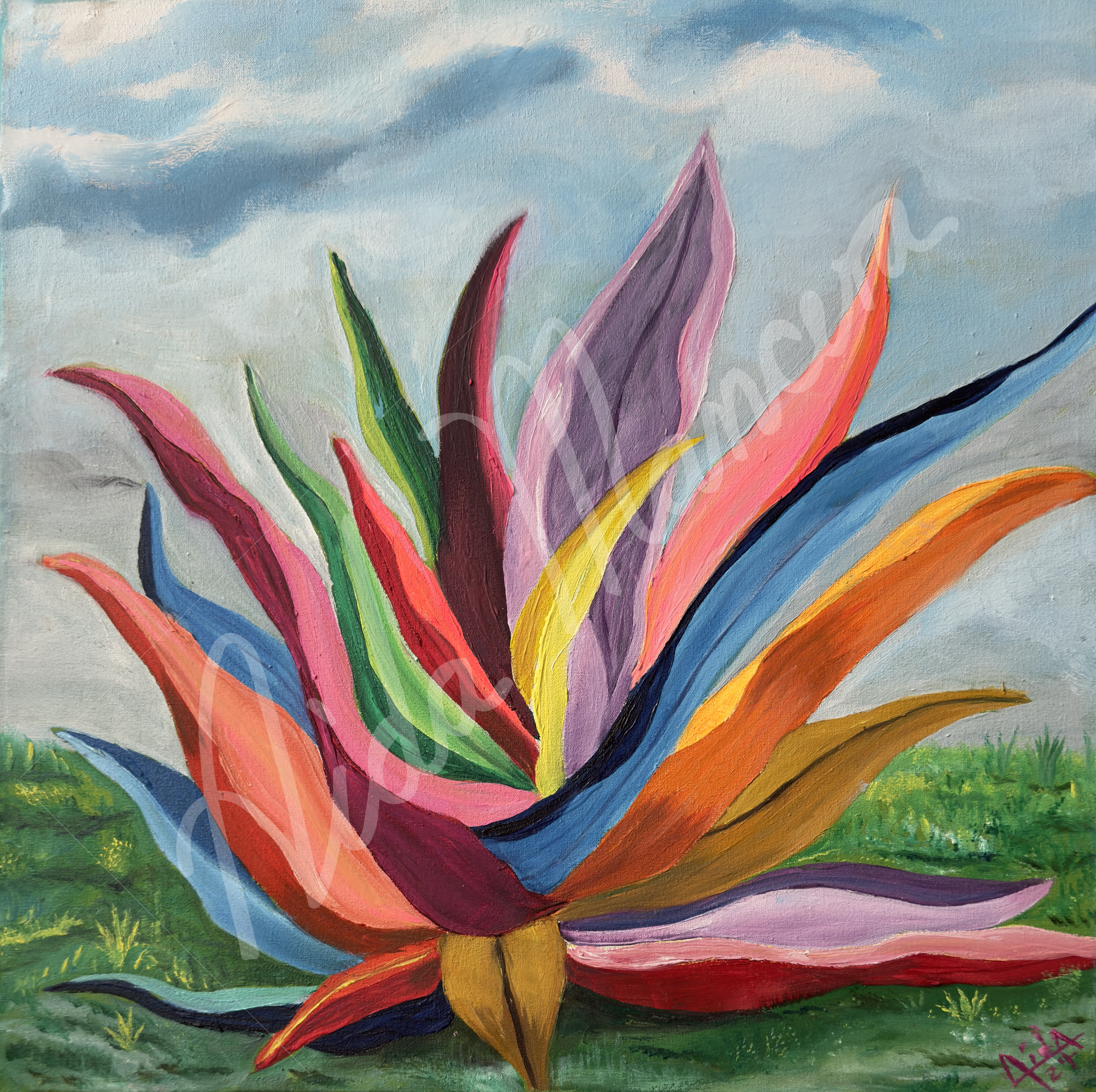 Maguey 1