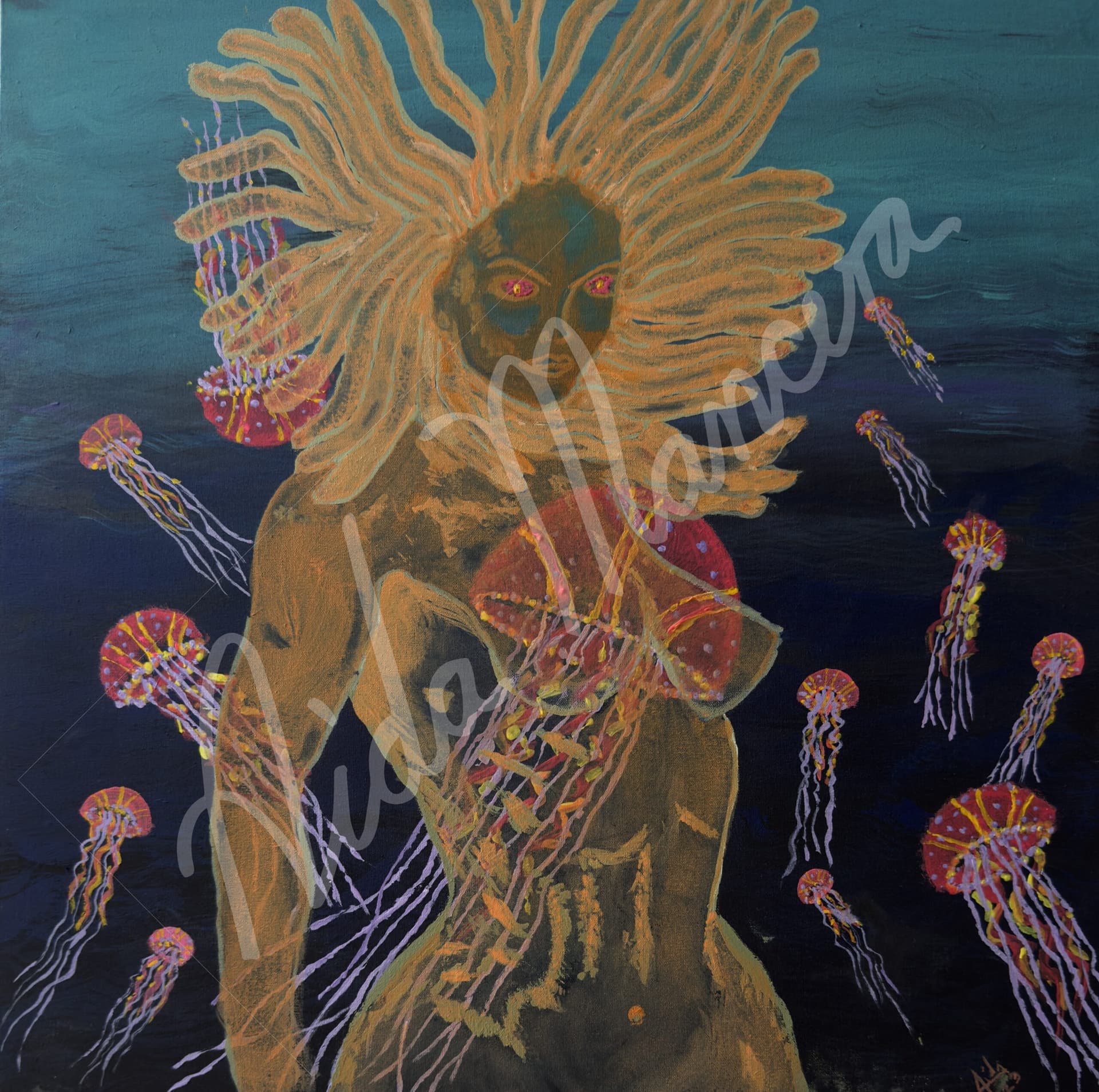 Medusas