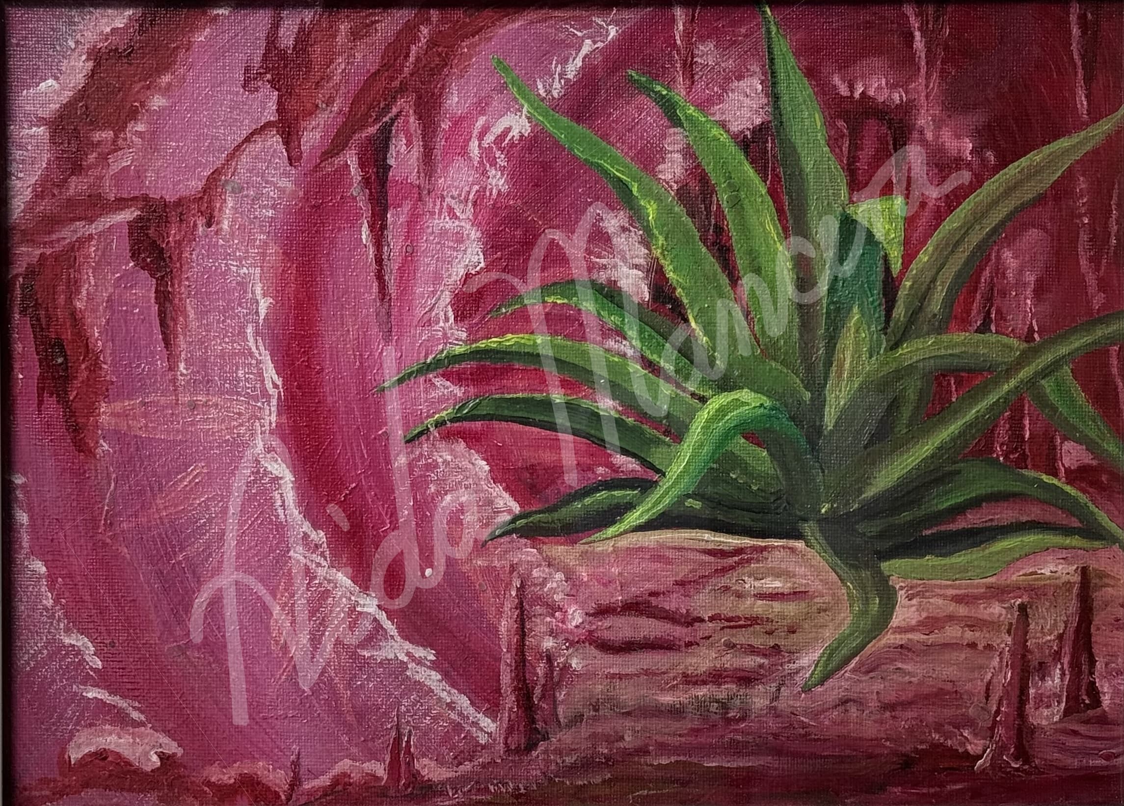Maguey II