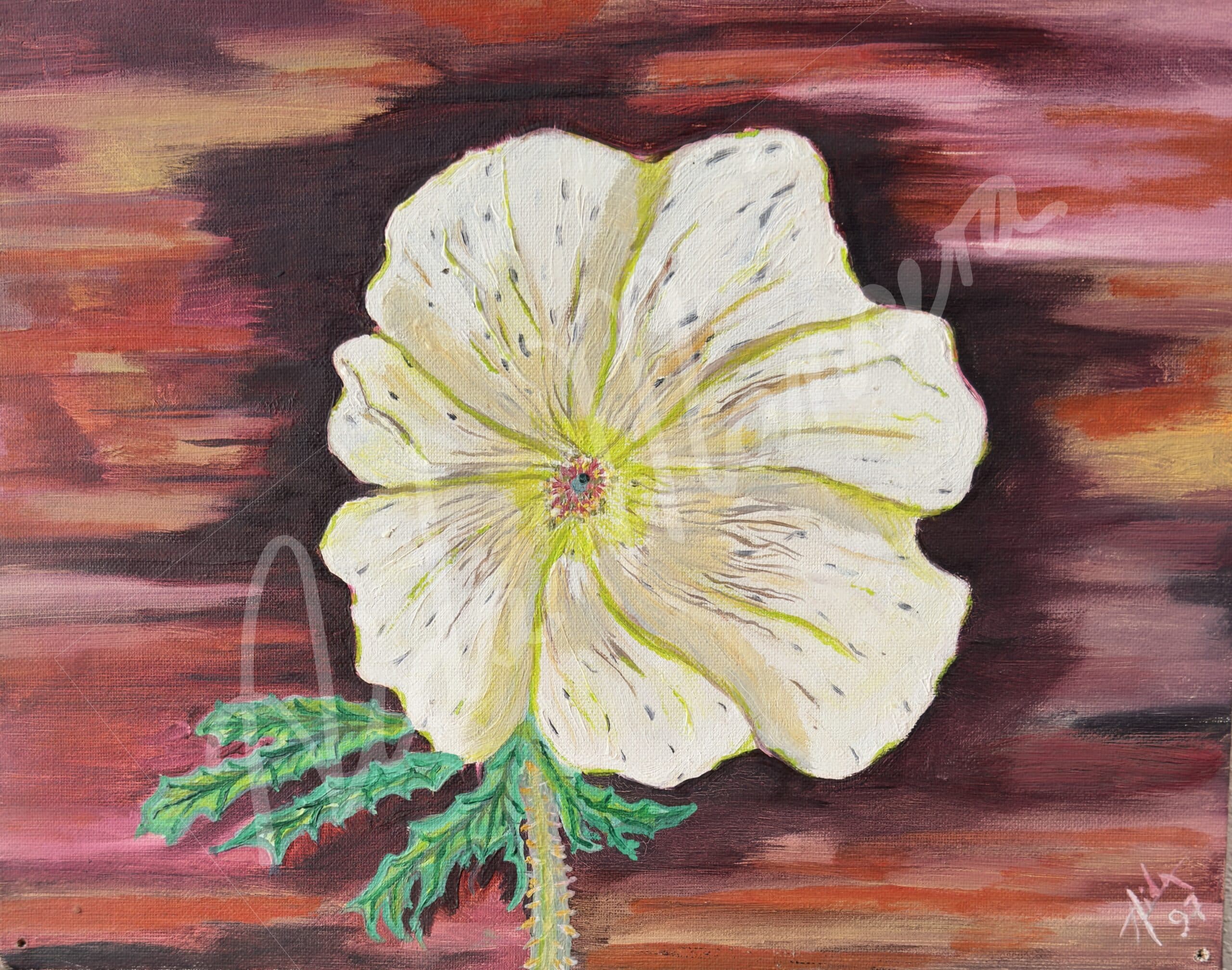 Flor de campo